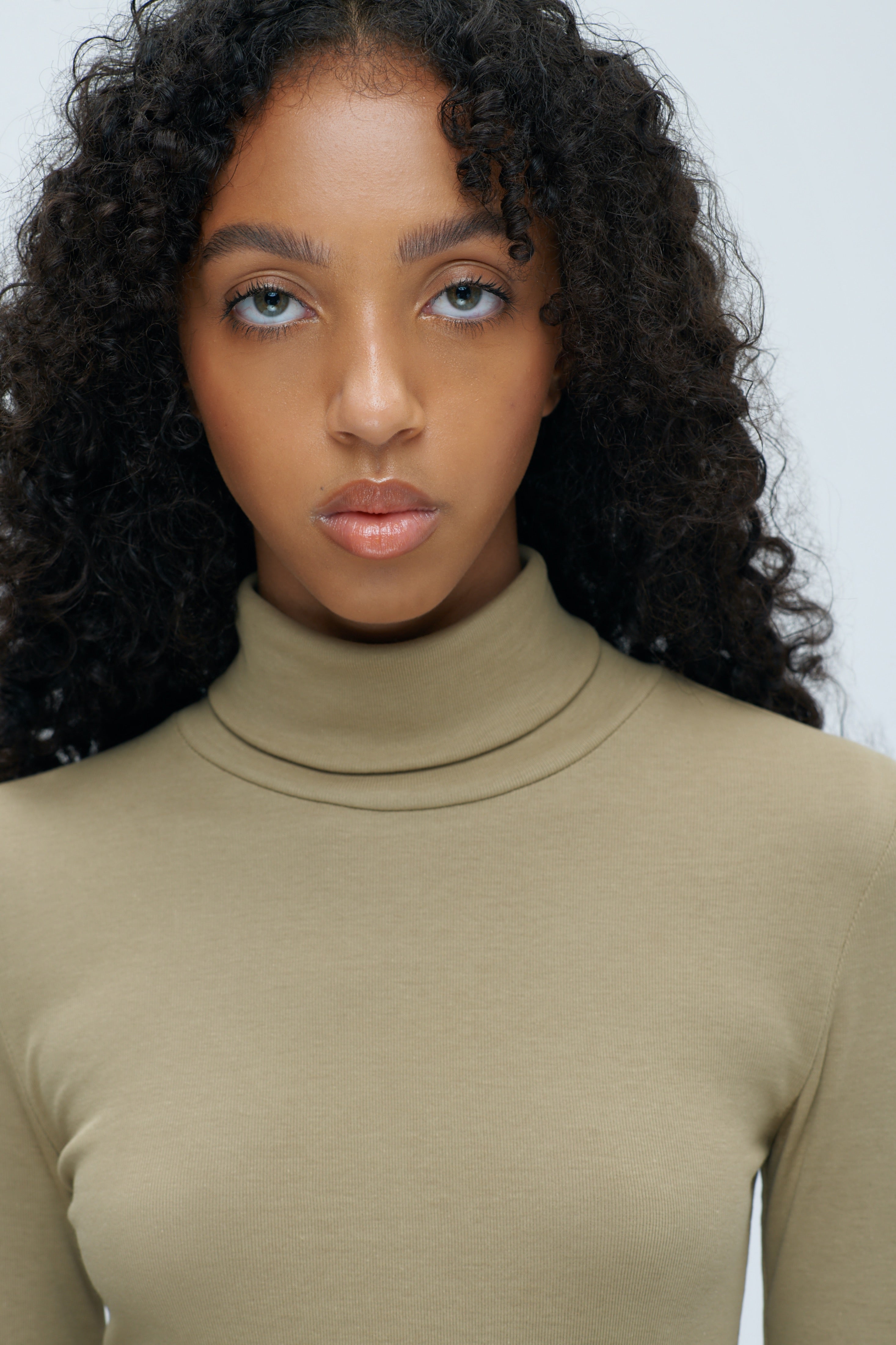 Fitted Turtleneck