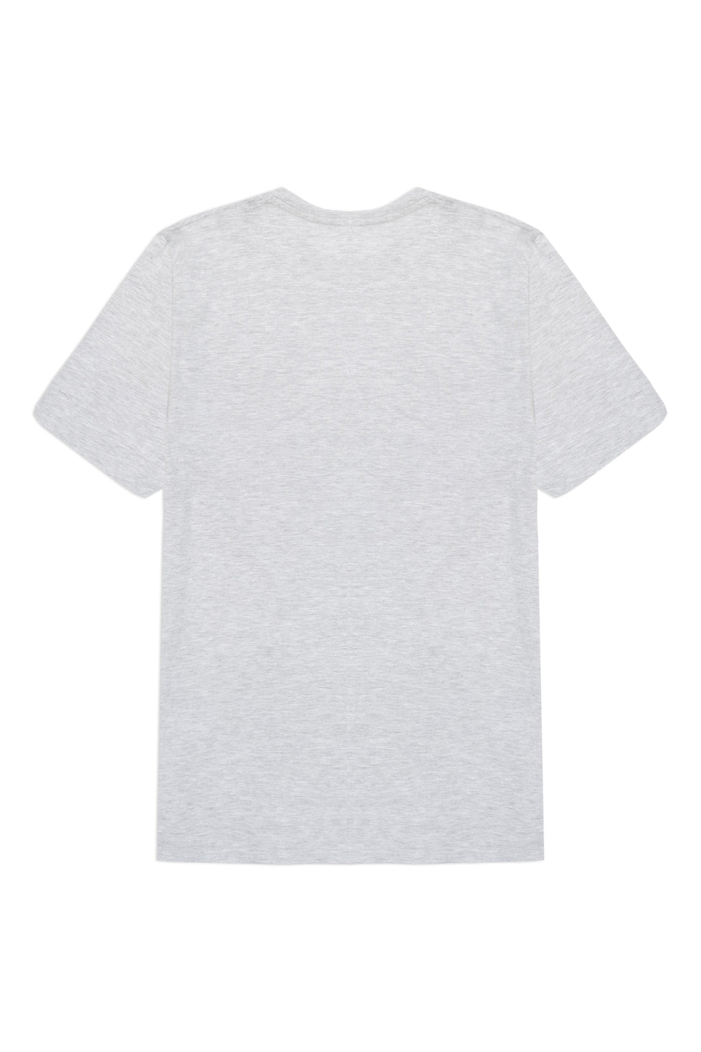 Unisex T-shirt in Heather Grey