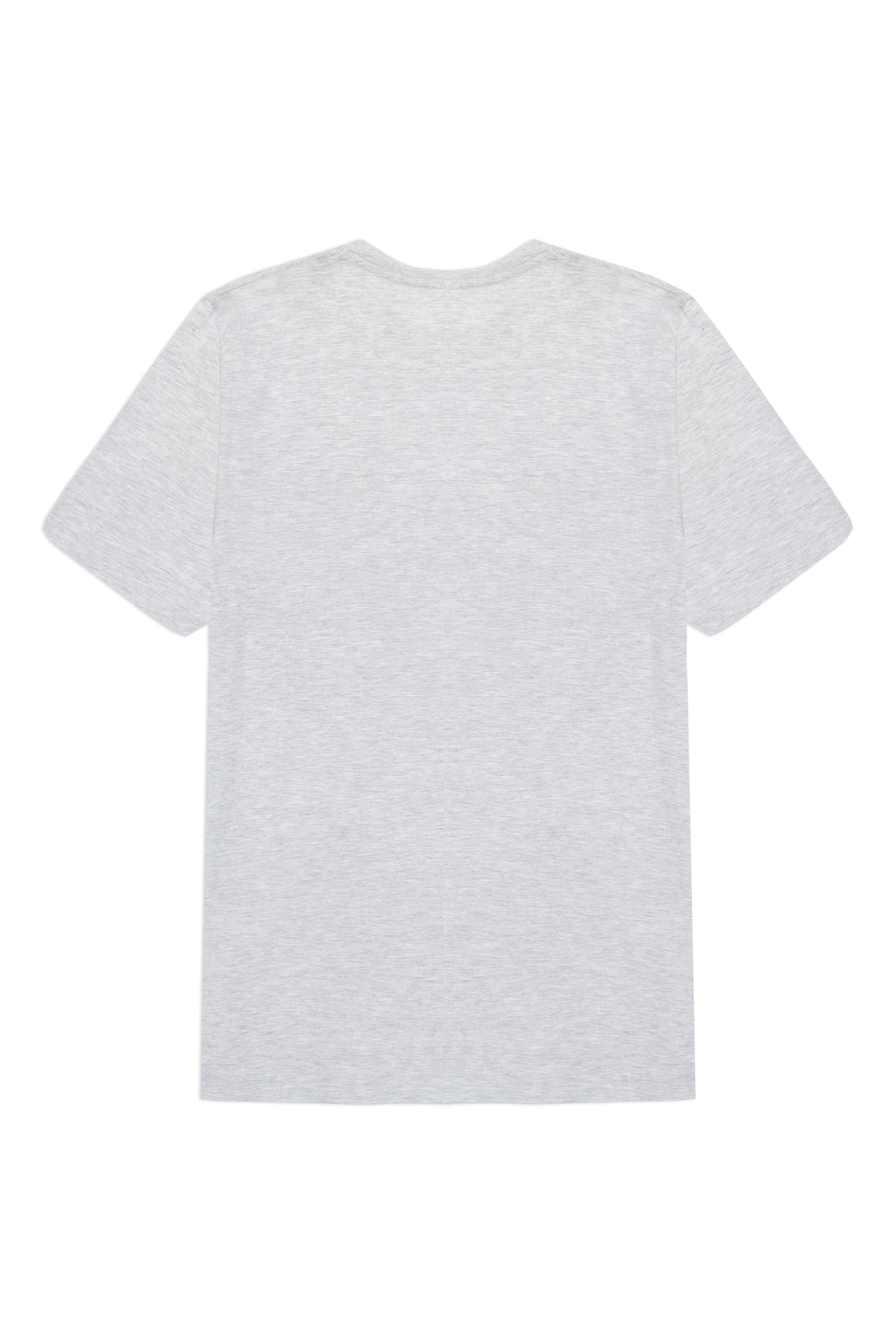 Unisex T-shirt in Heather Grey